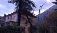Bagnoli, il forte vento sradica albero che si abbatte su una casa