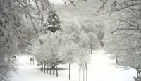 Innamorati della neve, a febbraio la kermesse a Laceno