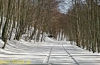 Laceno, auto di turisti prigioniera nella neve