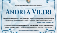 Andrea Vietri