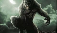 Dalle janare ai lupi mannari: mistero e paura nella tradizione irpina