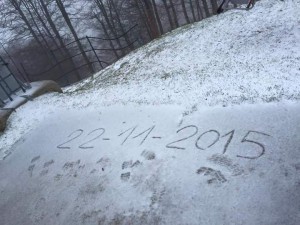 FB_IMG_1448215994546