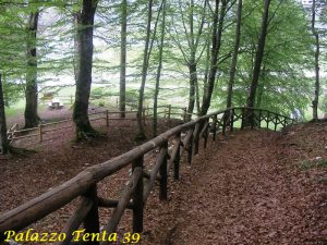 Laceno-bike-park-pista-Santa-Nesta-