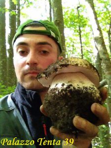 Lorenzo-Nicastro-fungo-gigante-2017-1