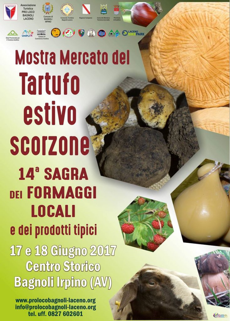 Manifesto-Mostra-mercato-tartufo-estivo-Bagnoli-Irpino-2017