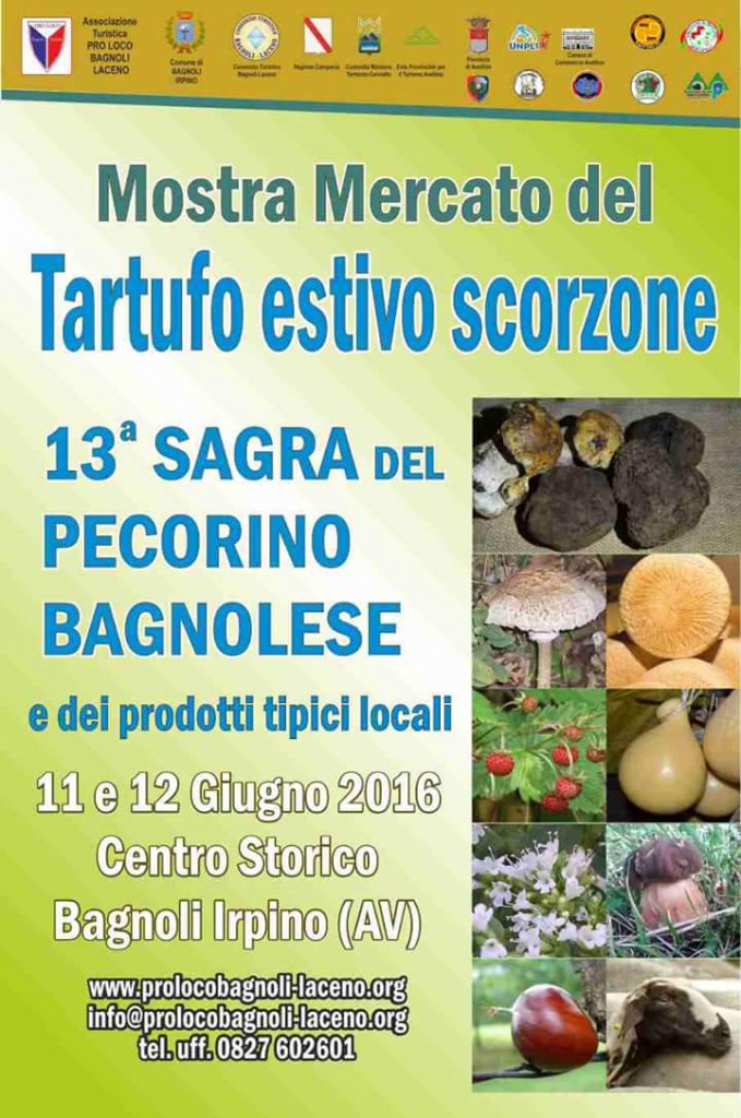 sagra-scorzone-bagnoli-2016