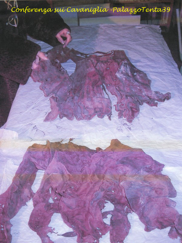 Conferenza sui Cavaniglia del 19.12.2009 1