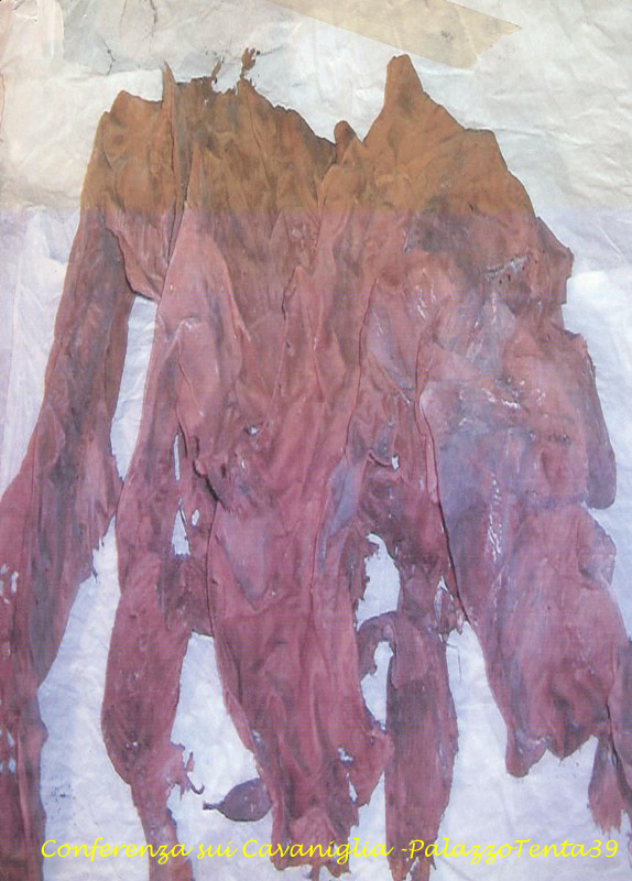 Conferenza sui Cavaniglia del 19.12.2009 32