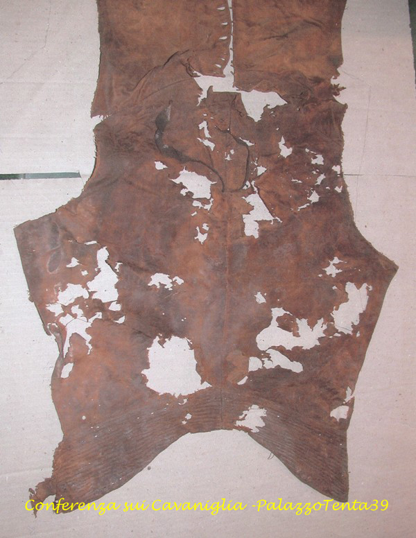 Conferenza sui Cavaniglia del 19.12.2009 34