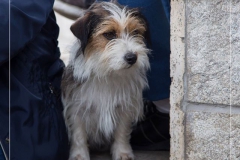 12052485_824951587621712_1430059070437097211_o