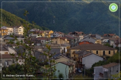 12063582_828049233978614_1599596957619719626_n