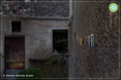 12063789_828049427311928_8431385563195762158_n