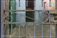 12065533_827245297392341_8281640624379253709_n