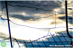 12065664_824899634293574_4751892459266094462_n