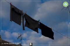 12065765_828049260645278_8663761304841838742_n