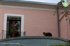 12196219_828048610645343_665354142367172153_n