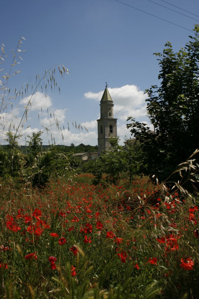 convento-San-Francesco-29