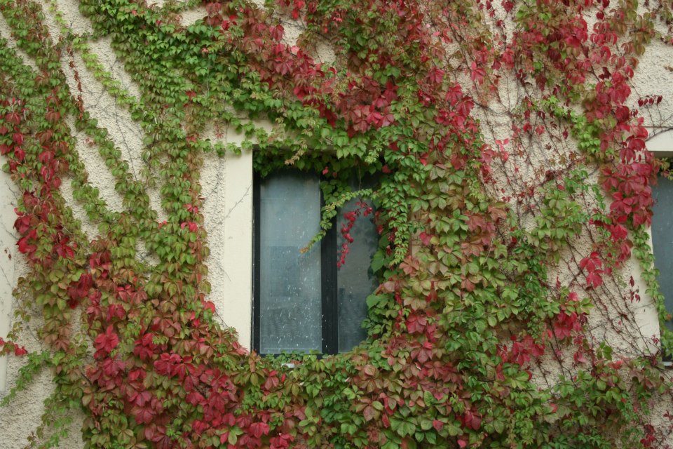 convento-San-Francesco-3