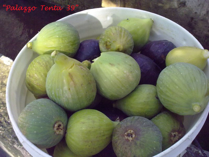 Colori d'ottobre a Bagnoli 44