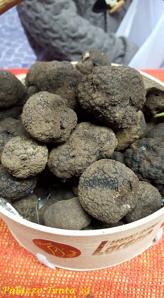 Bagnoli-Sagra-2015-55