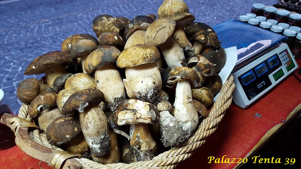 Bagnoli-Sagra-2015-56