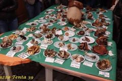 Bagnoli-Sagra-2015-174