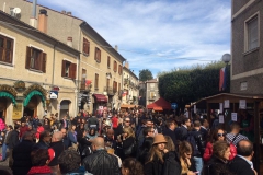 Bagnoli-Sagra-2015-208