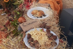 Bagnoli-Sagra-2015-239