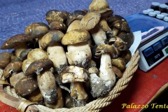 Bagnoli-Sagra-2015-56