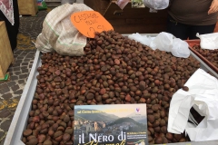 Bagnoli-Sagra-2015-58