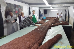 Bagnoli-Sagra-2015-81