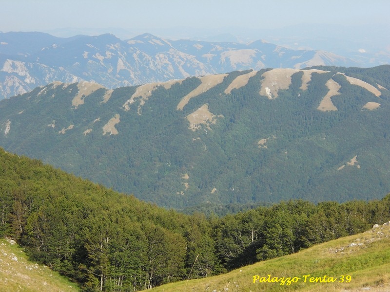 OrmeGFortunato-2012-82