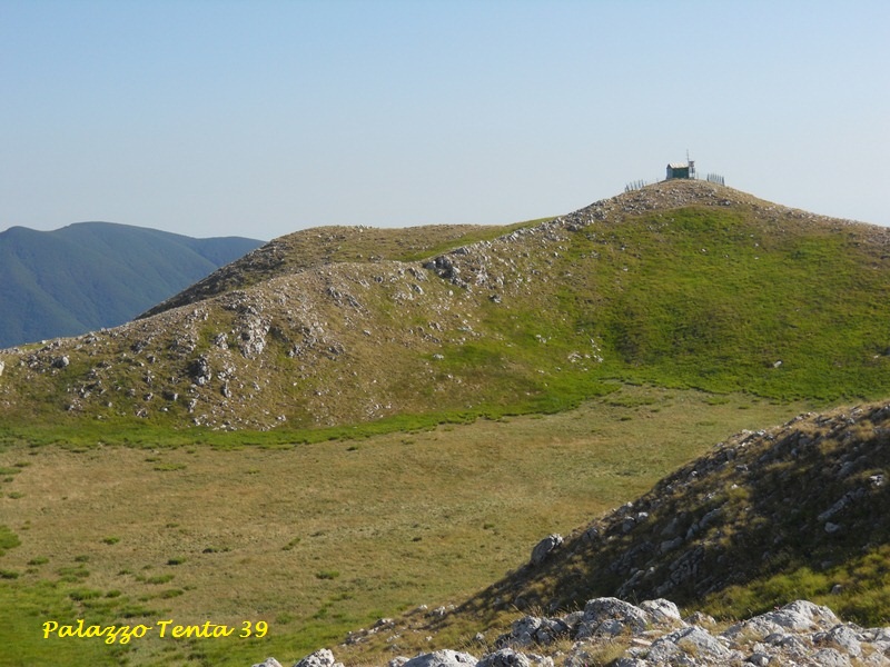 OrmeGFortunato-2012-83