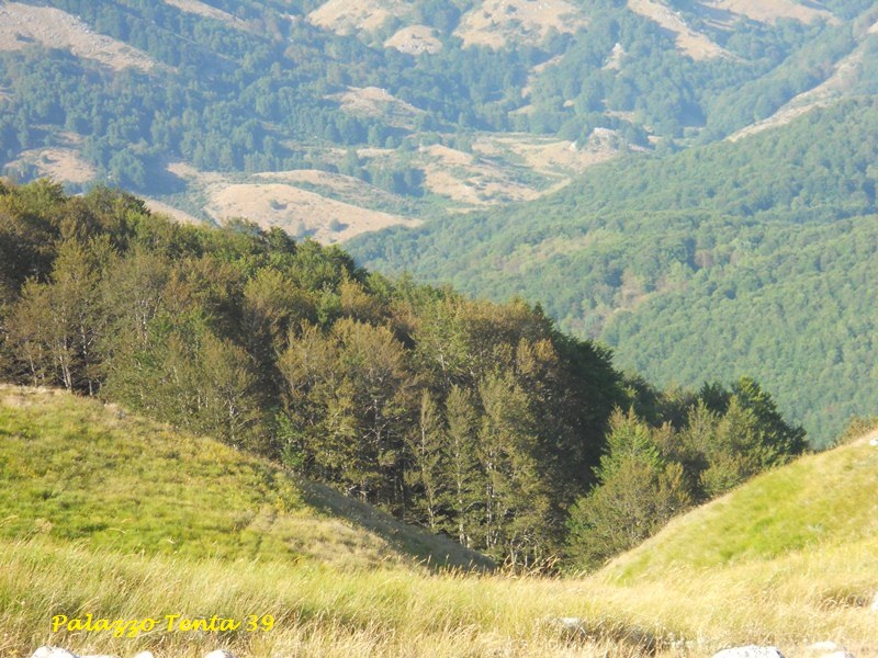 OrmeGFortunato-2012-84